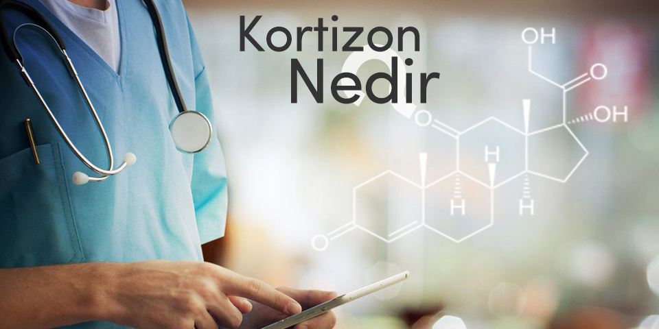 Kortizon Nedir?